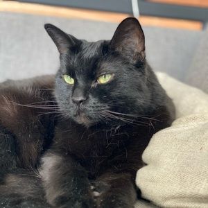 Meet your Posher, Trucie